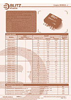 DataSheet BIN02A-1205DJ pdf